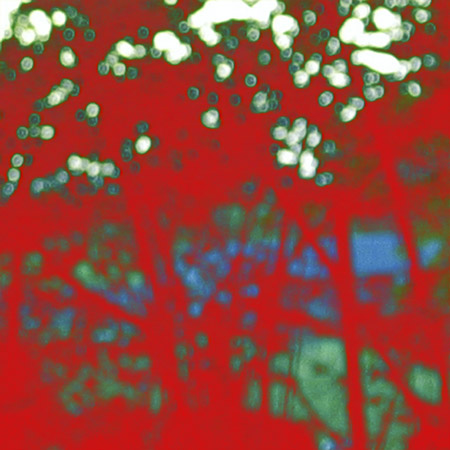 Dappled light